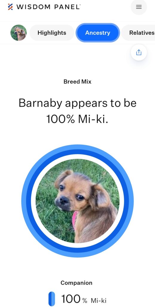 Mi-Ki DNA Wisdom Panel